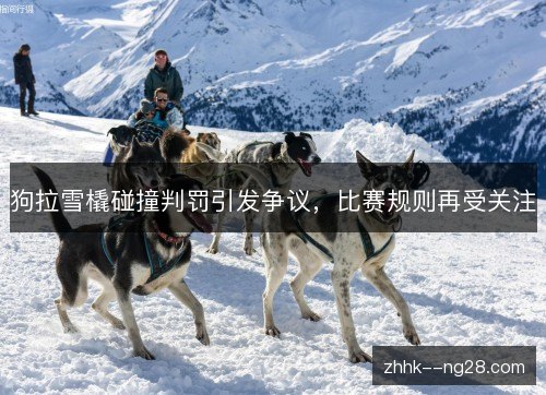 狗拉雪橇碰撞判罚引发争议,比赛规则再受关注 狗拉雪橇碰撞判罚引发争议,比赛规则再受关注
